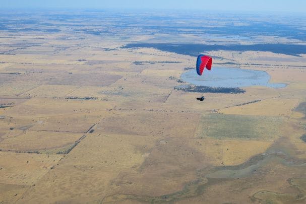 Auch Seikos Ehemann fliegt!