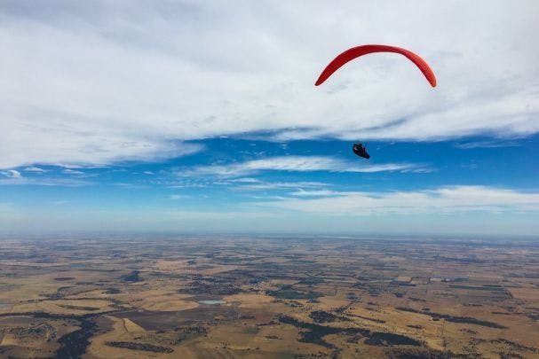 Seiko y Charles, de nuevo en Australia