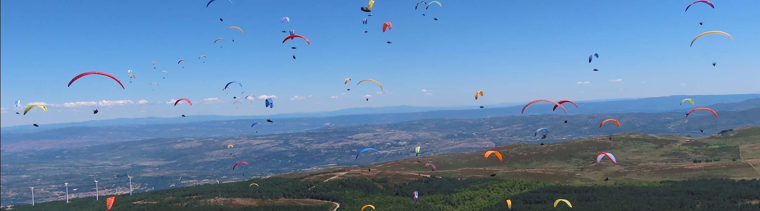 paragliders hero image